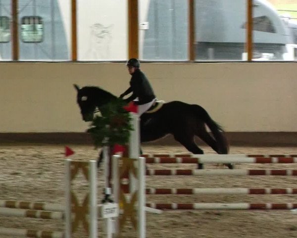 Reitturnier Fleesensee Classic´s 2024