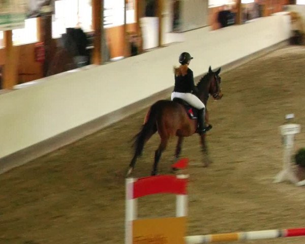 Reitturnier Fleesensee Classic´s 2024