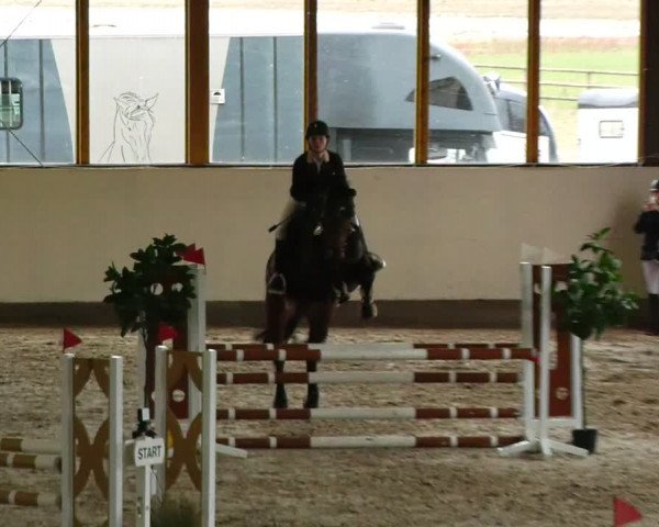Reitturnier Fleesensee Classic´s 2024
