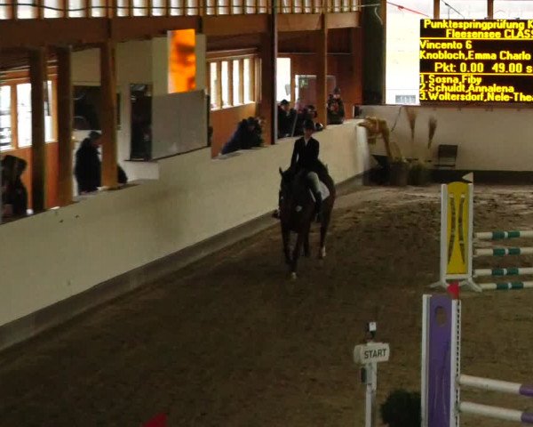 Reitturnier Fleesensee Classic´s 2024
