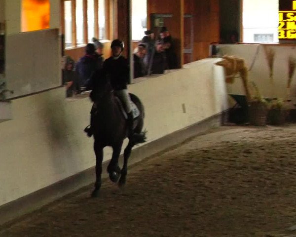 Reitturnier Fleesensee Classic´s 2024