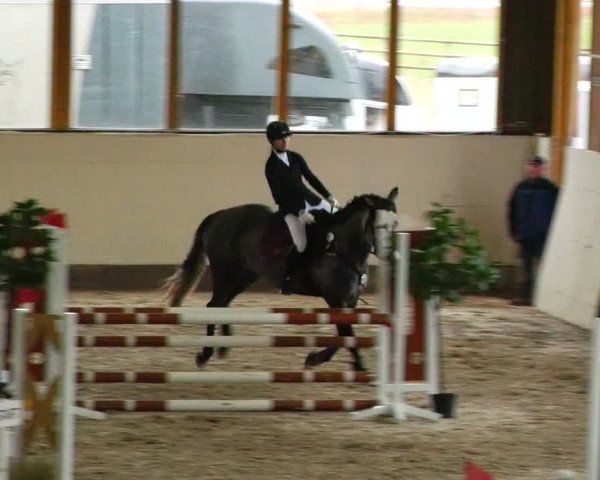 Reitturnier Fleesensee Classic´s 2024