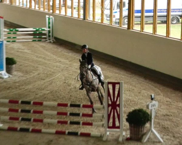 Reitturnier Fleesensee Classic´s 2024