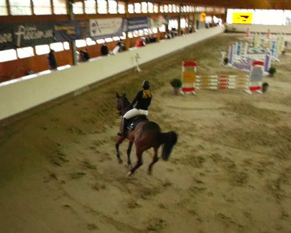 Reitturnier Fleesensee Classic´s 2024