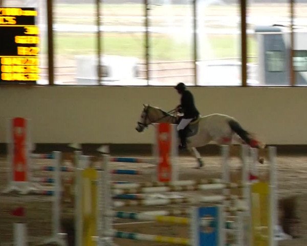 Reitturnier Fleesensee Classic´s 2024
