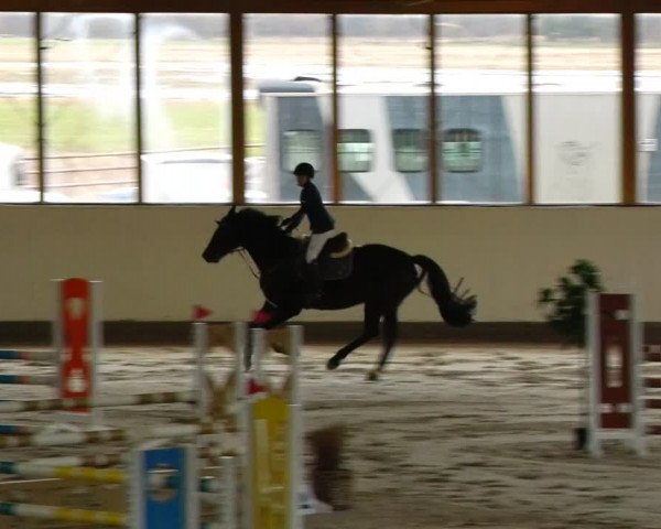 Reitturnier Fleesensee Classic´s 2024