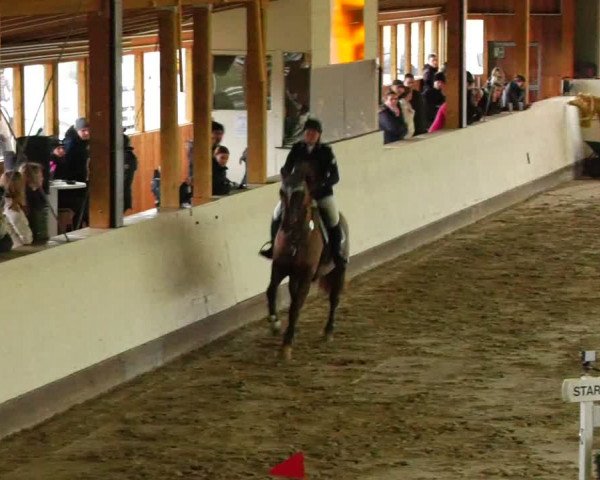 Reitturnier Fleesensee Classic´s 2024