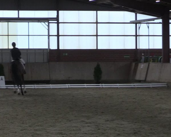 Reitturnier Ostenfelde-Vornholz 2024
