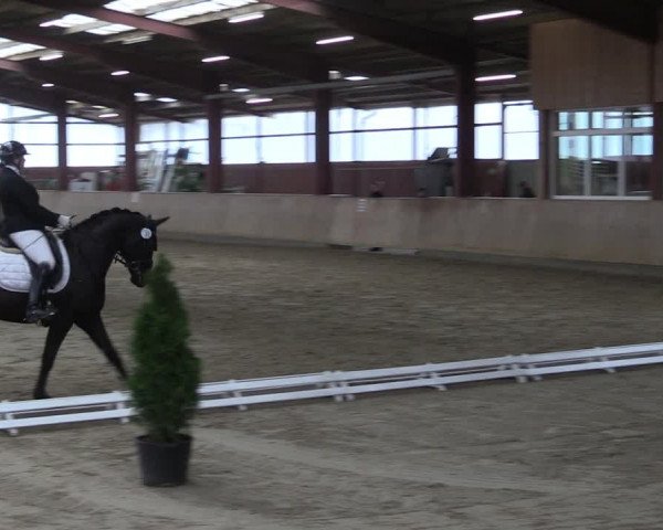 Reitturnier Ostenfelde-Vornholz 2024