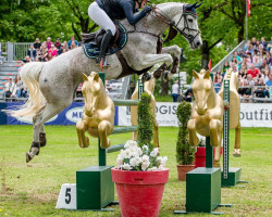 broodmare Chanel BS (Holsteiner, 2010, from Quite Easy I)
