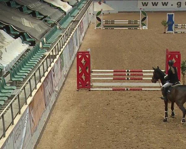 Reitturnier Kreuth/Opf. 2024