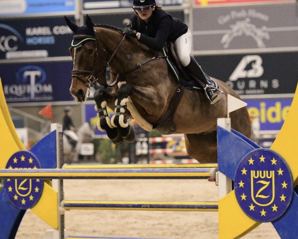 jumper Bovidius B (KWPN (Royal Dutch Sporthorse), 2006, from Ovidius)