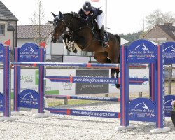 broodmare Briana Bs (Holsteiner, 2009, from Broere Atlantic)