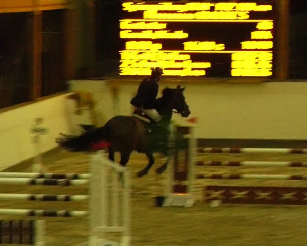 Reitturnier Fleesensee Classic´s 2024