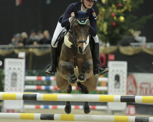 jumper For President B (German Riding Pony, 2006, from For Kids Only)