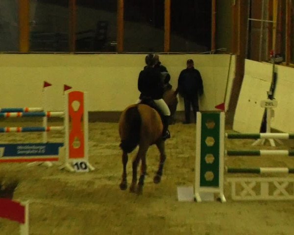 Reitturnier Fleesensee Classic´s 2024