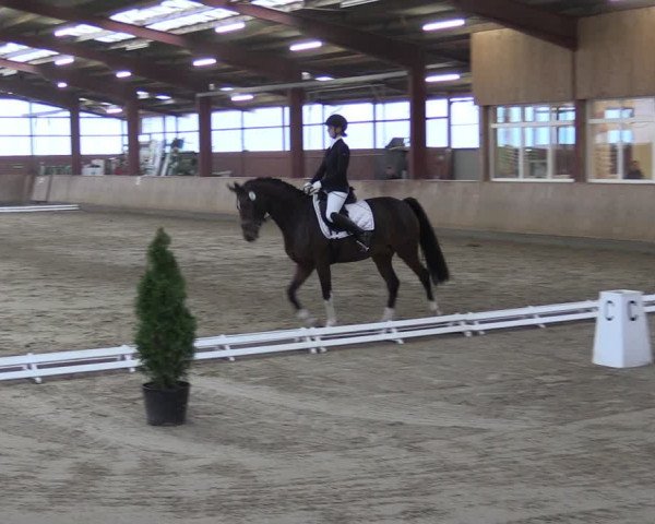 Reitturnier Ostenfelde-Vornholz 2024