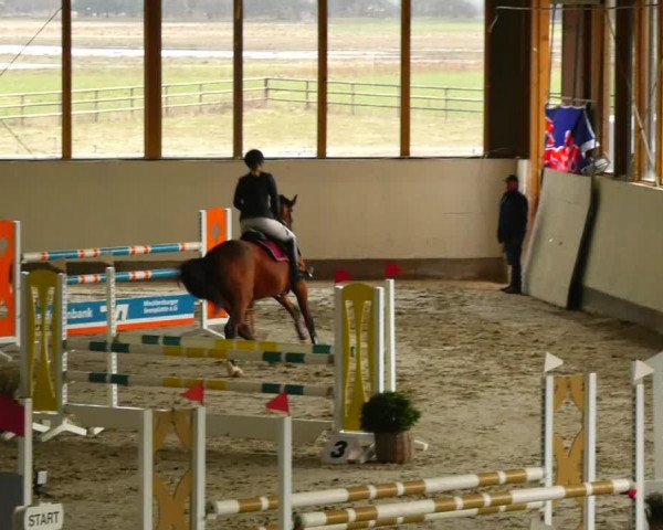 Reitturnier Fleesensee Classic´s 2024