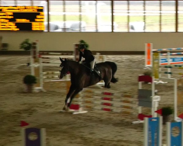Reitturnier Fleesensee Classic´s 2024