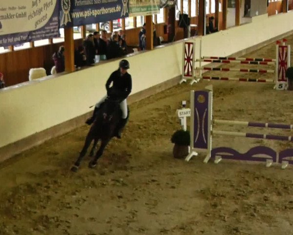 Reitturnier Fleesensee Classic´s 2024