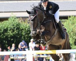 jumper Handsome (KWPN (Royal Dutch Sporthorse), 2012, from Bustique)