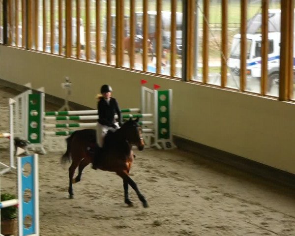 Reitturnier Fleesensee Classic´s 2024
