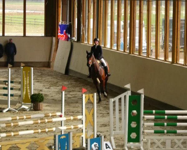 Reitturnier Fleesensee Classic´s 2024