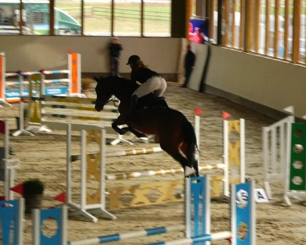 Reitturnier Fleesensee Classic´s 2024