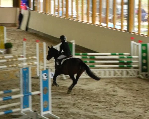 Reitturnier Fleesensee Classic´s 2024
