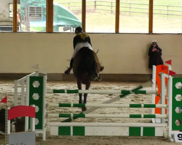 Reitturnier Fleesensee Classic´s 2024