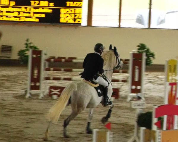 Reitturnier Fleesensee Classic´s 2024