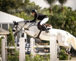 jumper Evabellie W (KWPN (Royal Dutch Sporthorse), 2009, from Colman)