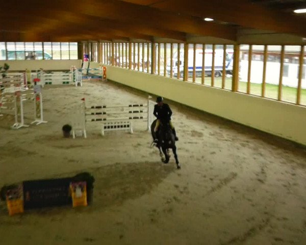 Reitturnier Fleesensee Classic´s 2024