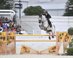 jumper Carlotta 289 (Holsteiner, 2011, from Clarimo Ask)