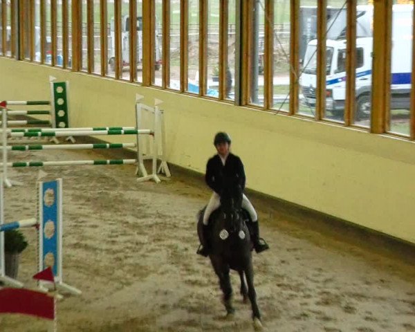 Reitturnier Fleesensee Classic´s 2024