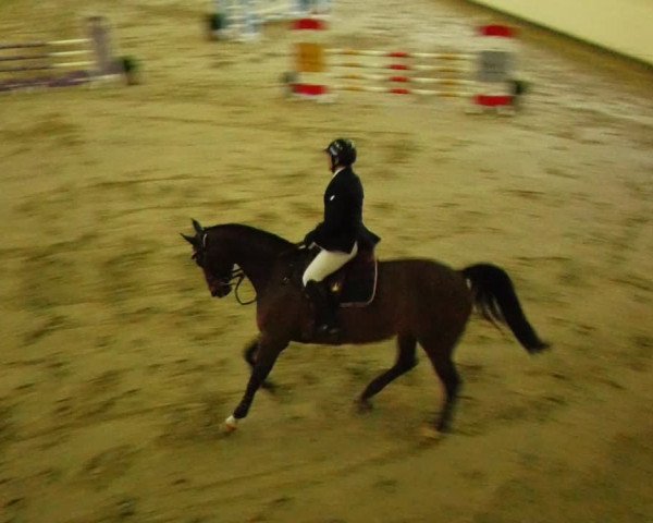 Reitturnier Fleesensee Classic´s 2024