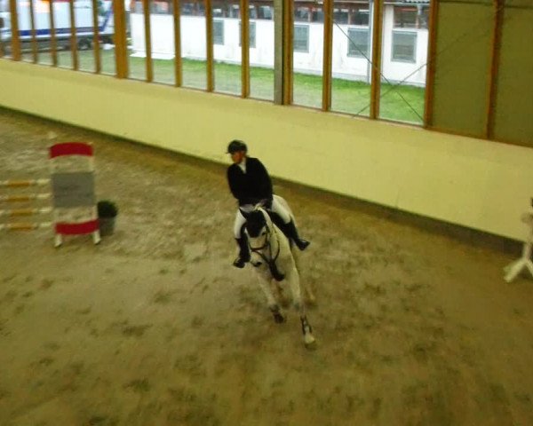 Reitturnier Fleesensee Classic´s 2024