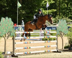 broodmare Finja 176 (Westphalian, 2014, from Firth Of Lorne)