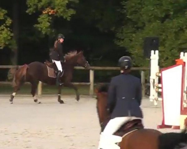 broodmare Telza du Loir (Selle Français, 2007, from Jarnac)