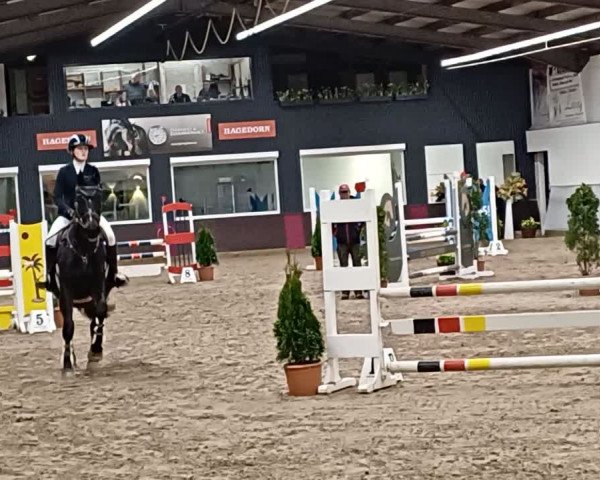 Reitturnier Legden 2024