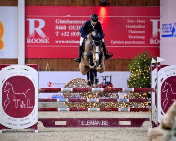jumper Mucksmaeuschenstill (Holsteiner, 2018, from Million Dollar)