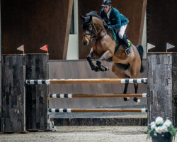 jumper Balou H 2 (Westphalian, 2016, from Baloutelli 2)