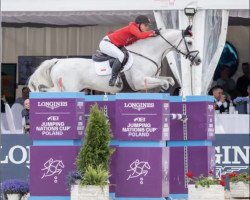 jumper Cheppetano (Holsteiner, 2012, from Ab 19 Chepetto)