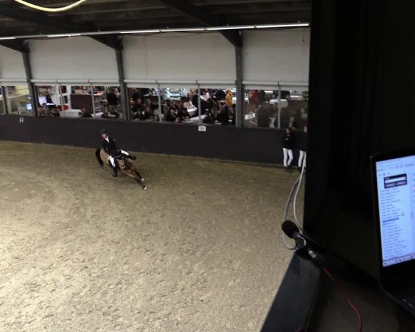 23. Legdener Ponymeeting 2021