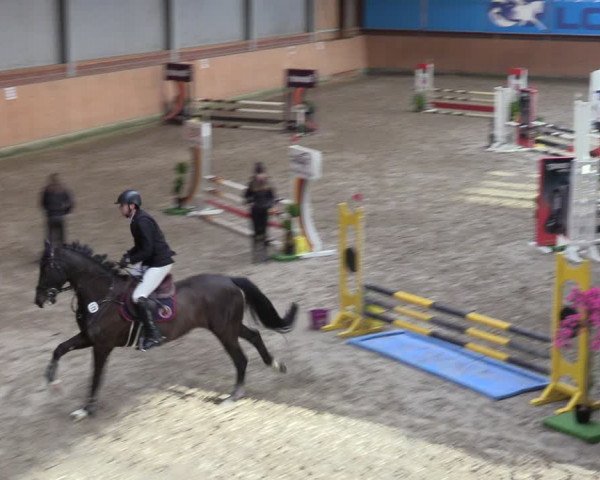 Reitturnier Osterholz-Scharmbeck 2024