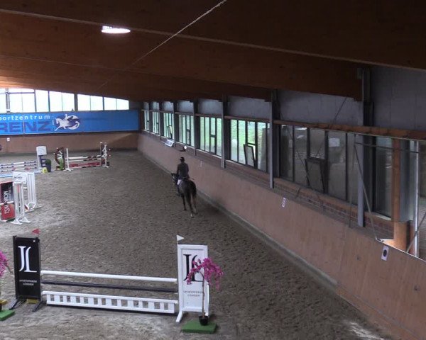 Reitturnier Osterholz-Scharmbeck 2024