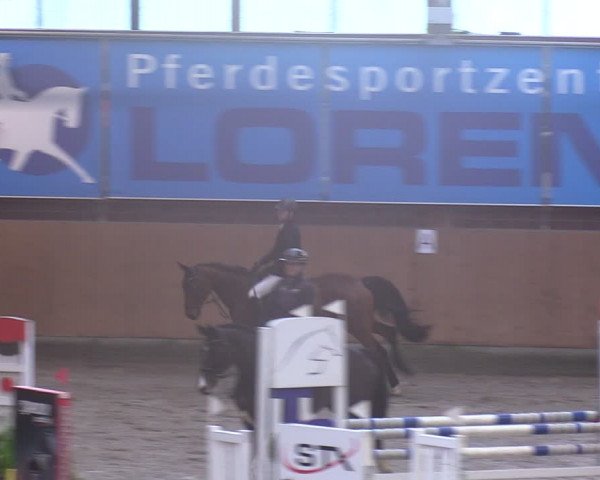Reitturnier Osterholz-Scharmbeck 2024