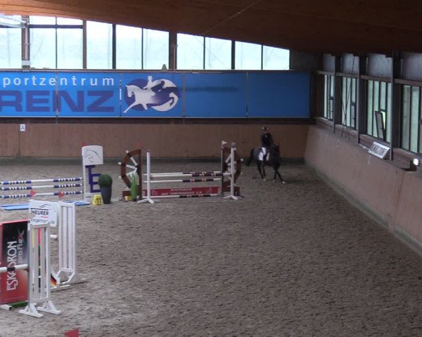Reitturnier Osterholz-Scharmbeck 2024