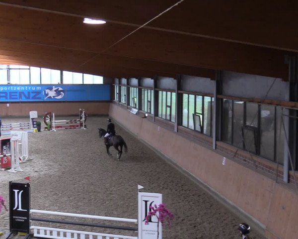 Reitturnier Osterholz-Scharmbeck 2024
