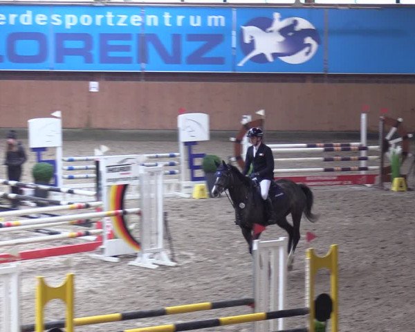 Reitturnier Osterholz-Scharmbeck 2024